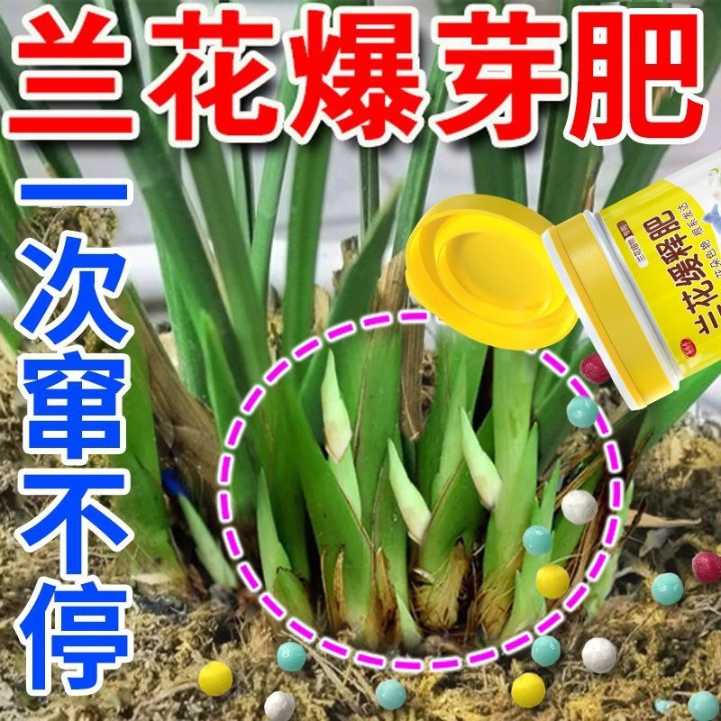 蘭花專用肥料 傢用 室內 植物 緩釋肥 君子蘭 蝴蝶蘭 養花 有機複閤 控釋肥