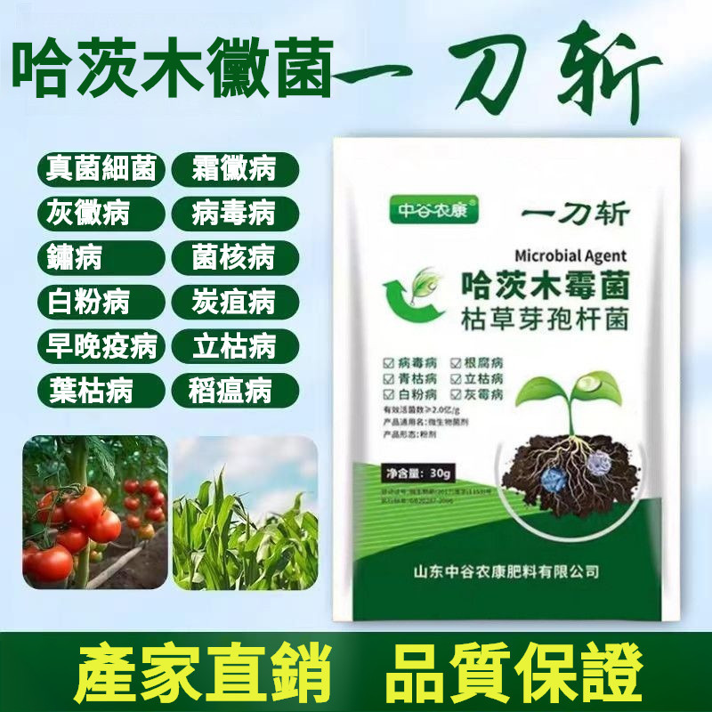 【台灣出貨】哈茨木黴菌 正品 微生物菌劑 抗重茬 清紫袍地衣 芽孢桿菌 菌素