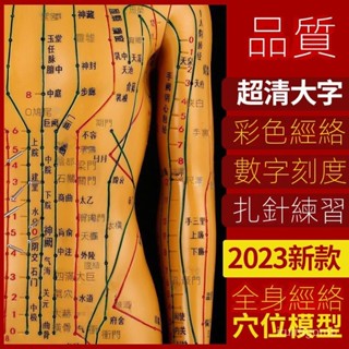 🔥桃園有貨/限時下殺🔥 人體模型經絡穴位中醫全身十二銅人模特圖小人紮針練習小皮人 VYVD