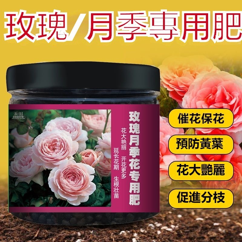 月季花 玫瑰花 專用肥 薔薇 玫瑰月季花肥 盆栽 通用型 顆粒緩釋肥 催花 有機肥料 開花肥 有機肥