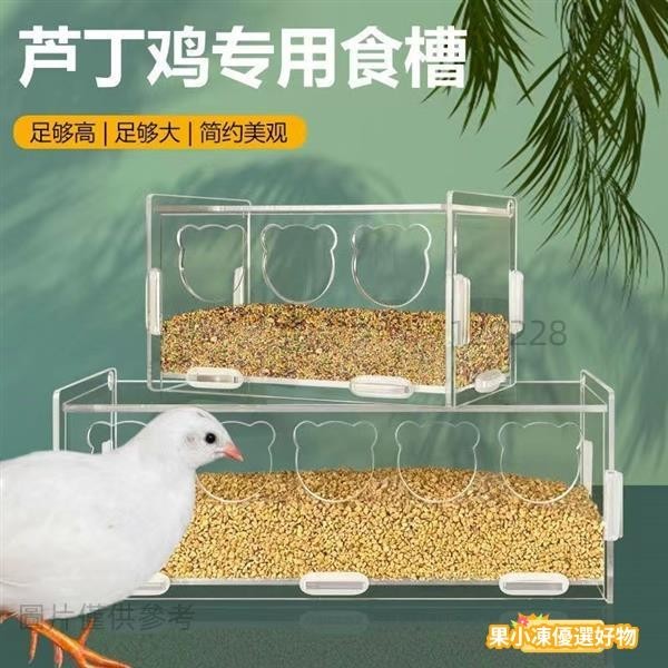 蘆丁雞餵食器 自動放糧 食槽 飼料盒 飼養用品 蘆丁雞用品 鳥類防刨食槽 餵食