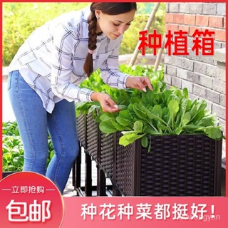 種植箱傢庭陽臺蔬菜專用菜盆種菜神器樓頂戶外花盆特大花箱室內 BWYU