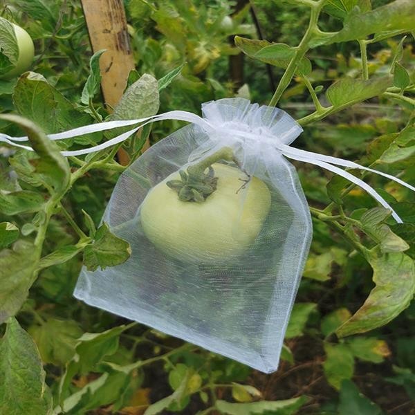 🌳優質園藝🌳套果袋尼龍網袋葡萄套袋子防鳥網防蟲水果防蟲網袋草莓透氣專用袋