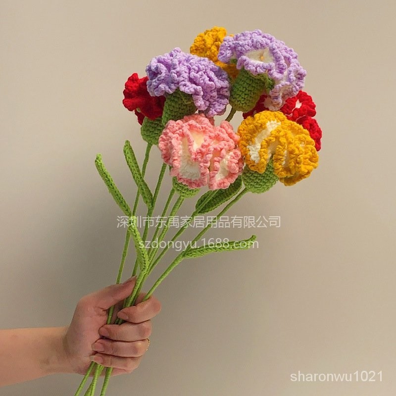 康乃馨創意手工花束成品手鈎花鈎織鈎針毛綫編織花禮物送閨蜜母親