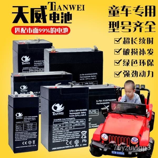 台灣最低價6V4.5V7V10v12V7兒童玩具汽車電動摩託童車6伏蓄電池鋰電瓶充電器