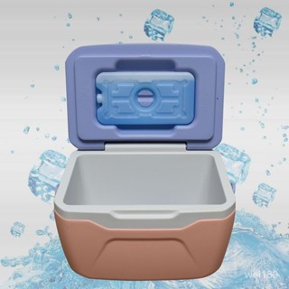 移動式冰桶 攜帶式 保冷 保冰 戶外 露營5.5L