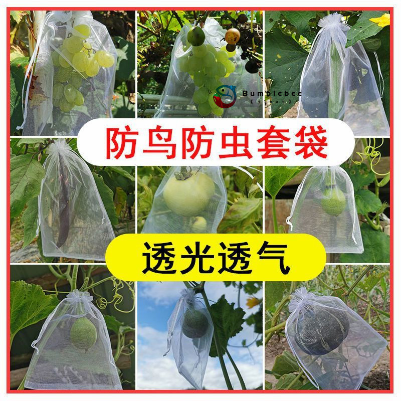 【h1cat】水果套袋防鳥防蟲專用網袋葡萄無花果瓜果蔬菜石榴橙子保護網袋子