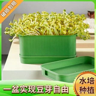 🔥臺灣熱賣 免運🔥豆芽盆傢用黃綠豆豆芽神器豆芽發芽盆水培髮芽盆 水耕栽培 水耕種植 居傢種菜懶人專用