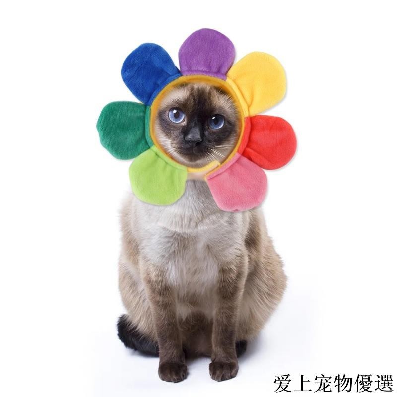 愛上貓咪帽子貓咪頭套寵物太陽花帽子花朵裝扮頭飾帽子貓咪搞怪頭套貓咪變身裝寵物頭飾