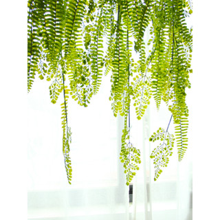 ▼JVW模擬垂吊綠植波斯蕨類植物吊飾懸掛藤條藤蔓吊籃壁掛陽臺櫥窗裝飾