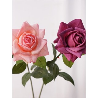 ▼JVW仿真花單支奧斯汀手感保濕玫瑰花束客廳擺設插花裝飾絹花假花擺件