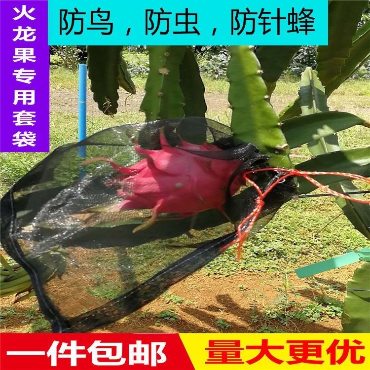 ✨热销✨ ‹水果套袋› 尼龍 網袋 種子袋火龍果套袋專用套果袋葡萄套防果蠅防鳥 水果袋 YJ148 QL