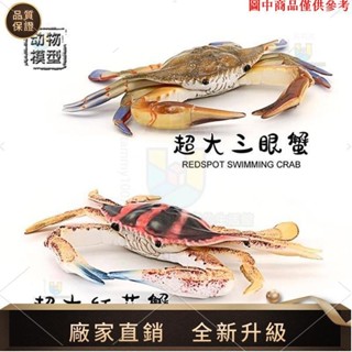 【品質模擬館】海洋動物模型兒童玩具超大梭子蟹紅花蟹三眼蟹寄居蟹模擬螃蟹禮物 商品都是模擬不可食用tammy1007