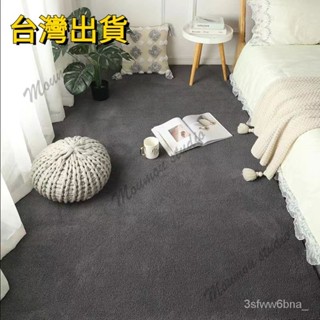 臺灣出貨 地毯 短絨毛地毯 北歐絨毛大地毯 客廳臥室房間床邊毯 超柔軟毛絨厚地毯 絨毛地毯 地墊小地毯 兒童爬行地毯
