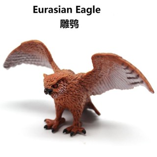 ✨甄選新品✨兒童模擬實心靜態鳥類動物模型裝飾擺件貓頭鷹塑膠動物雕鴞玩具h6🎇x6