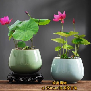 花盆 多肉花盆 陶瓷花盆 桌面花盆 小花盆中式冰裂汝瓷碗蓮專用盆缸水培綠植花盆陶瓷室內桌面蓮花擺件盆栽