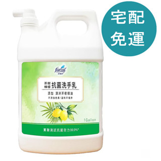 花仙子 茶樹檸檬抗菌洗手乳 3.8公升 [COSCO代購5] D326987