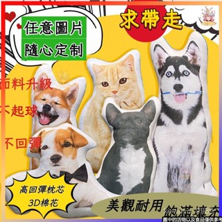 ⚡可開發票⚡客製化異形抱枕 人形抱枕 寵物抱枕 卡通抱枕定做 寵物紀念品 客製造型抱枕 立體寵物抱枕 情侶抱枕