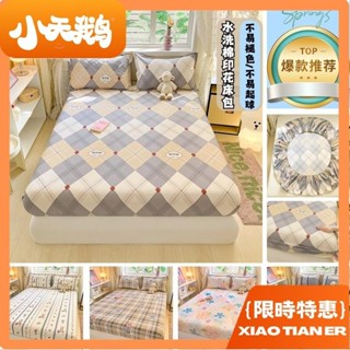 【小天鵝】新款卡通床包 水洗棉床包 親膚透氣 單人床包 雙人床包 床罩床單 保潔墊 單人/雙人/加大床套 枕頭套