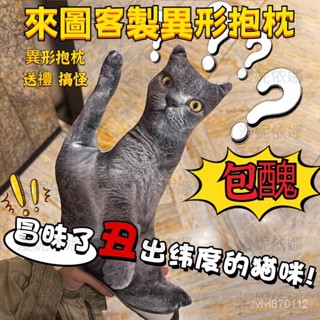 🔥臺灣出貨+99免運🔥diy客製化 寵物抱枕 貓咪抱枕 客製抱枕 醜貓抱枕 客製製無白邊 異形玩偶 無描邊 貓狗寵物照片