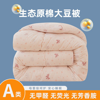 💥臺灣出貨💥 新款A類母嬰級印花大豆縴維春秋被加厚保暖冬被 春秋被 大豆被 被芯被胎 加厚冬被 單人被 雙人被 棉被被胎