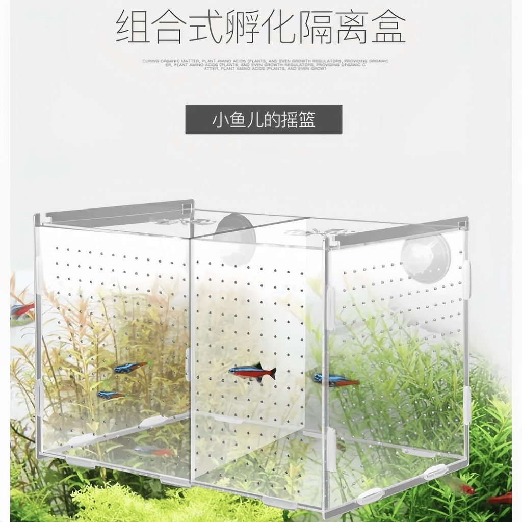💯臺灣出貨📣 網格隔板魚缸隔離盒透明亞克力孵化盒小魚孔雀魚繁殖箱迷你鸚鵡魚繁殖盒