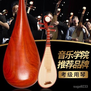 【高階琵琶】星辰 l 琵琶樂器初學入門成人兒童彈撥紅木琵琶演奏考級民族樂器