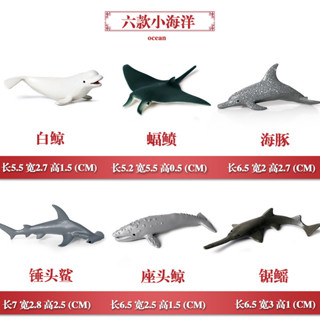 🥂模擬動物🥂模擬海洋動物模型玩具兒童玩具實心鯊魚抹香鯨虎鯨迷你海洋擺件