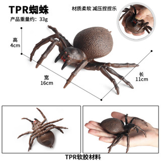 🥂模擬動物🥂崑蟲動物模型認知捏捏樂TPR模擬整蠱減壓髮洩蜘蛛兒童玩具