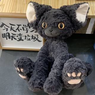 有點東西🤩抖音同款可愛黑色貓咪捲毛德文毛絨玩具公仔黑貓布娃娃玩偶禮物女毛絨玩具 生日禮物 交換禮物