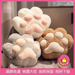【桃園發貨免運】貓抓抱枕毯子兩用辦公室午睡神器暖手枕頭汽車空調毯子二合一靠枕