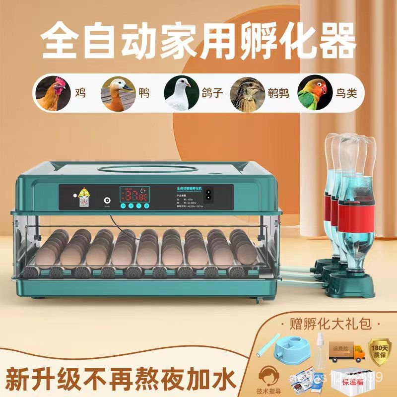現貨/免運/【新品上市】孵化器全自動小型傢用多功能智能小鷄孵化機孵蛋器