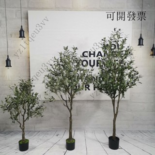 免運包稅 含發票 北歐ins風模擬假植物 橄欖樹 綠植盆栽服裝店擺件大型室內網紅裝飾