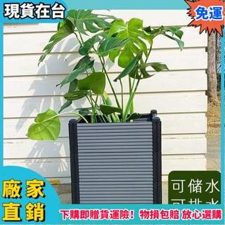 蔬菜種植箱種菜神器傢庭陽臺種菜盆樓頂特大號花箱長方形塑膠花盆 長方形花盆 種菜盆 盆栽容器 長花盆 控根1016
