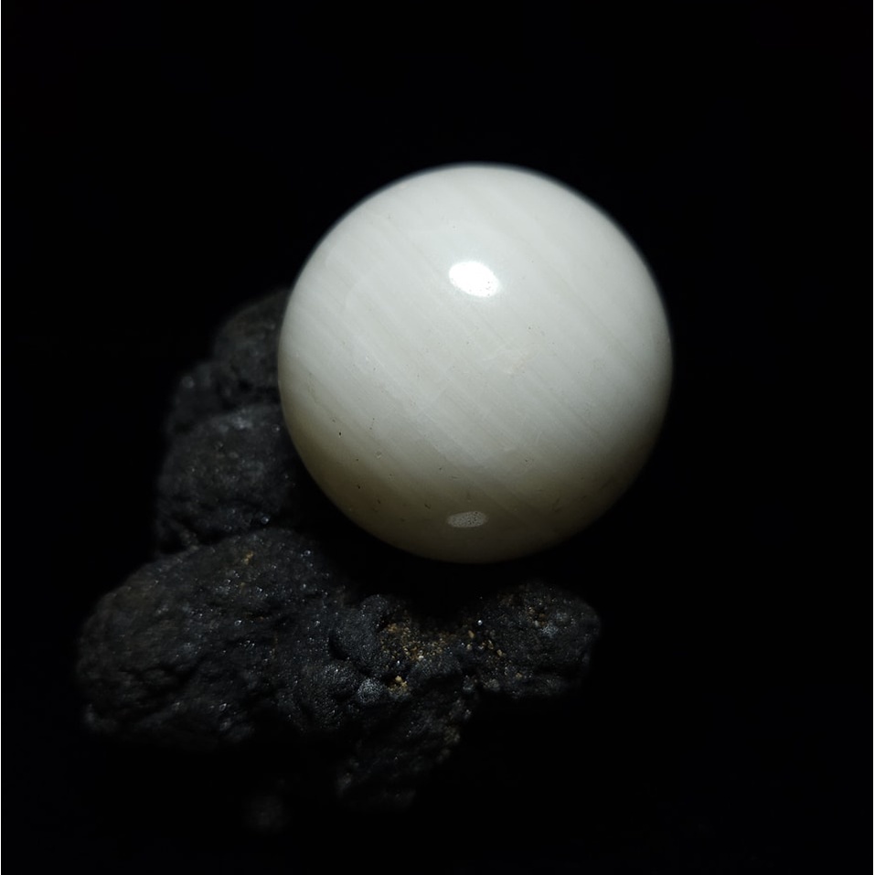 【黑礦採掘所】白硨磲球