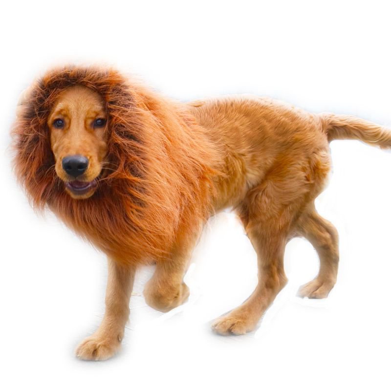寵物 頭套 造型 寵物帽子頭套 毛搞笑獅子頭套假髮變身裝柯基等中大型犬帽子搞怪頭飾