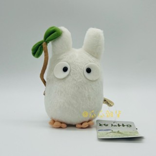 🌼瓜瓜雜貨🌼【全新正版】吉卜力 宮崎駿 龍貓TOTORO 豆豆龍 白龍貓 抱枕 手玉 絨毛玩偶 娃娃