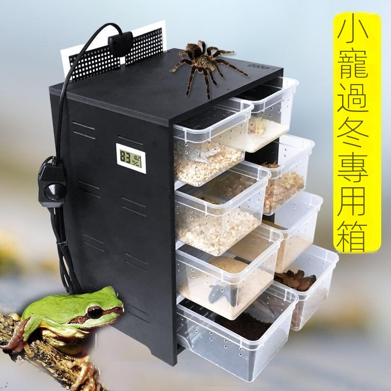 現貨直銷🔥可開發票🔥爬蟲保溫箱小爬寵飼養盒PVC角蛙烏龜蝎子蜘蛛守宮加熱繁殖寵物柜