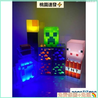 🧨台灣公司貨🧨我的世界 火把燈 Minecraft周邊模型 USB充電 小夜燈火炬 變色藥瓶 minecraft火炬