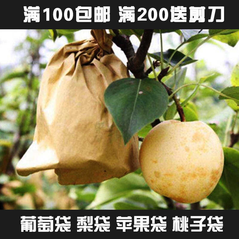 包裝袋 套袋 套梨專用袋子 雙層外黃內黑 黃金梨套袋 桃子防水防蟲保護袋