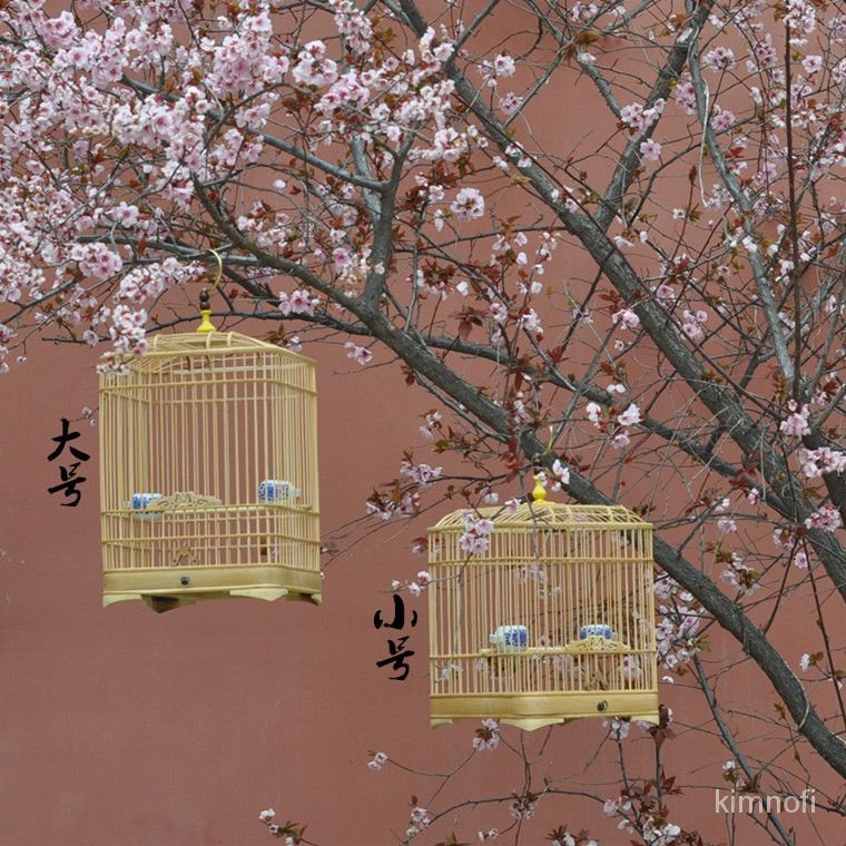 竹製鳥籠  文鳥籠子 文鳥籠  鳥外出籠 小鳥籠子小鳥籠小號蠟嘴鳥籠竹製圓角方籠繡眼貝子文鳥珍珠鳥等小型竹籠 EH9Q