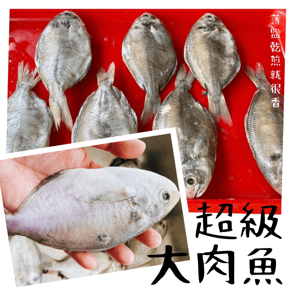 【潮鮮世代】超級大肉魚每尾150g/1公斤