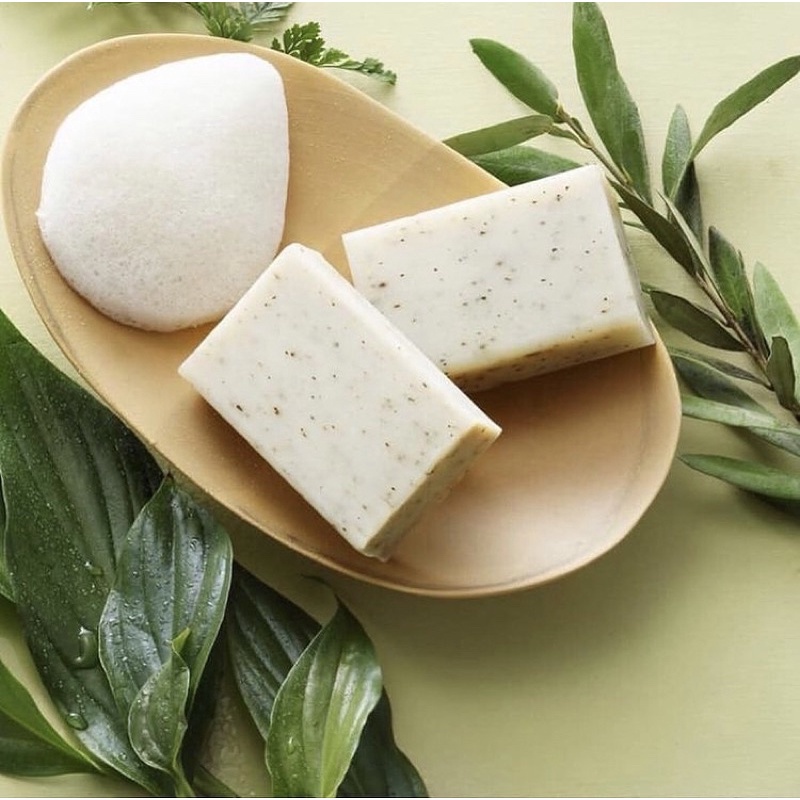 【菲菲嚴選】🔥義大利 KIKO橄欖白茶潔面皂  油皮 洗出水嫩肌 溫和潔淨 白茶萃取
