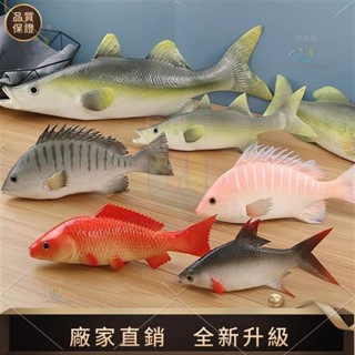 【品質模擬館】模擬魚模型道具鯉魚鱸魚海參食物食品擺件櫥窗展廳擺設拍攝道具 拍照攝影道具圖中食物都是模擬商品！！！