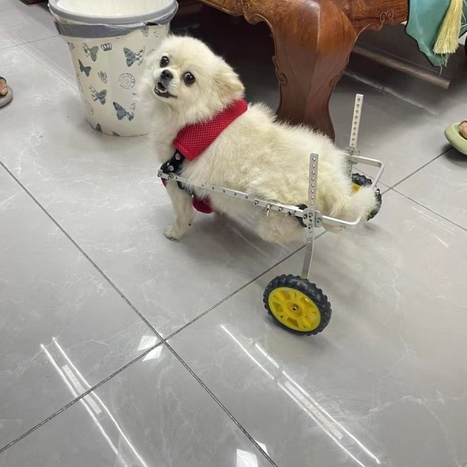 ✨現貨直銷 限時免運✨狗輪椅后肢癱瘓寵物代步車殘疾狗狗后腿輔助貓泰迪大型小型犬支架