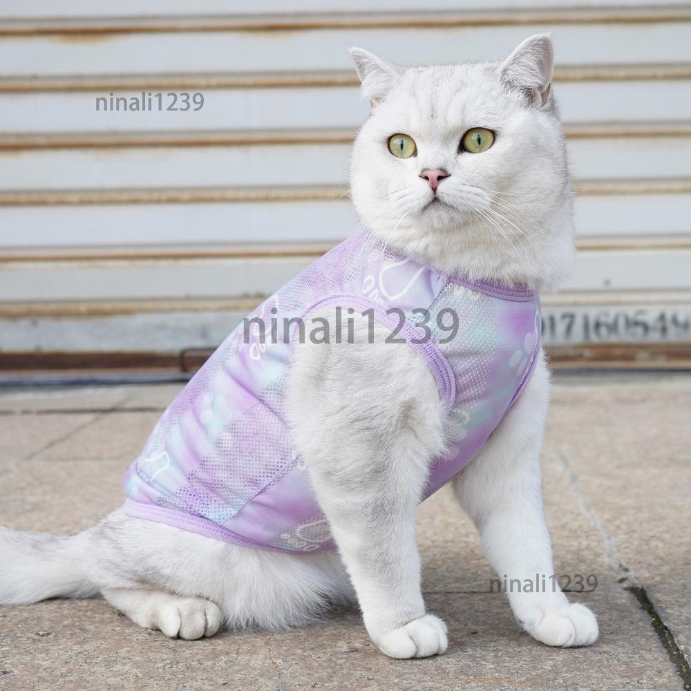 新款時尚夏季貓衣服防掉毛藍貓布偶德文可愛寵物背心薄款NI