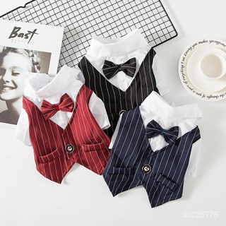 寵物狗狗泰迪小型犬貓咪春夏季狗狗衣服薄款西服襯衫西裝婚紗禮服 POR1