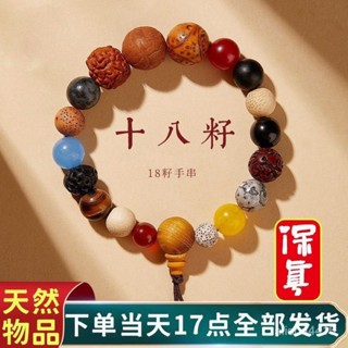 禪道院 唸佛 計數 居士 臺灣平價 手串 佛珠 唸珠 串珠 手鍊 唸佛計數 十八籽串多寶菩提手串十八籽本命年手持菩提佛珠
