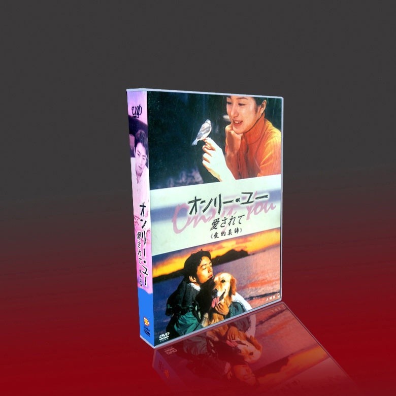 經典日劇 愛的真諦 TV+特典 鈴木京香/大澤隆夫/稻森泉 5DVD光碟片盒裝/NEW賣場