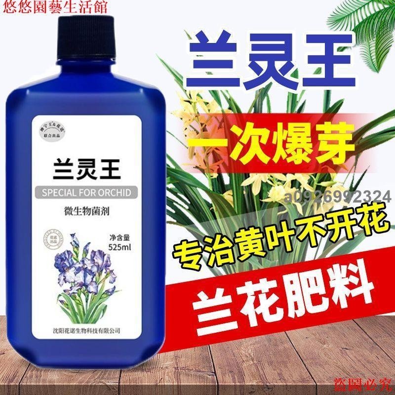 🚛【免運】蘭靈王 蘭花專用肥 蘭花營養液 蘭科肥料 蘭花液體肥 EM菌 君子蘭營養液蝴蝶蘭建蘭墨蘭石斛通用